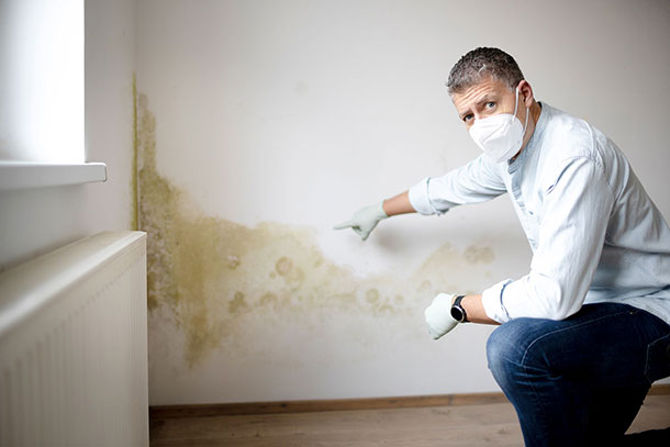 Mold Remediation